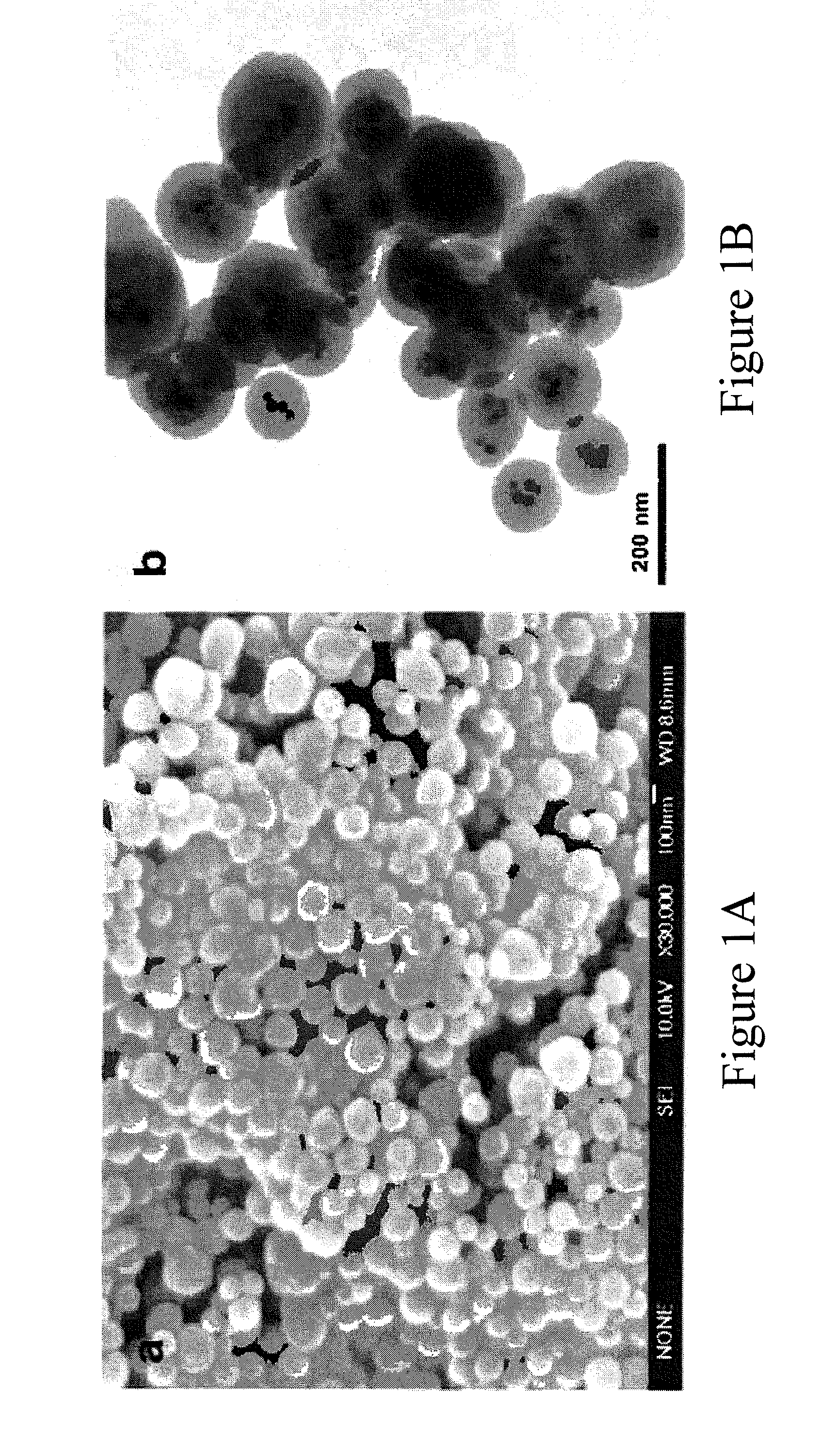 Structured silver-mesoporous silica nanoparticles having antimicrobial activity