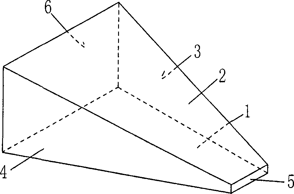 Integral limiting device for door with double-wedge shaped structure