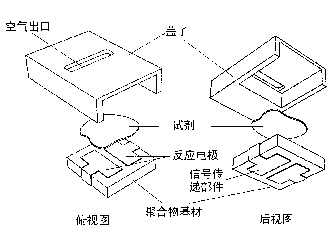 Biosensor with three-dimensional structure and manufacturing method thereof