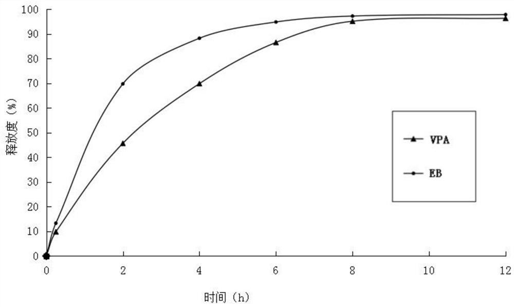 A nerve cell protective agent and its application in the prevention and treatment of epilepsy