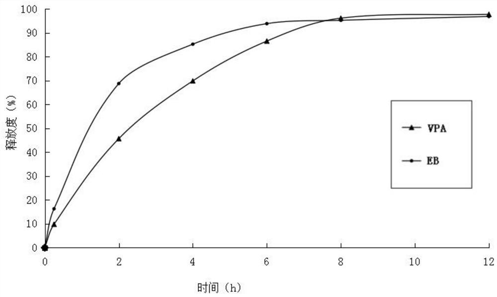 A nerve cell protective agent and its application in the prevention and treatment of epilepsy