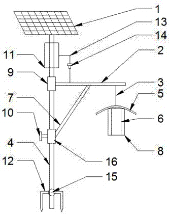 Disinsection device for forestry