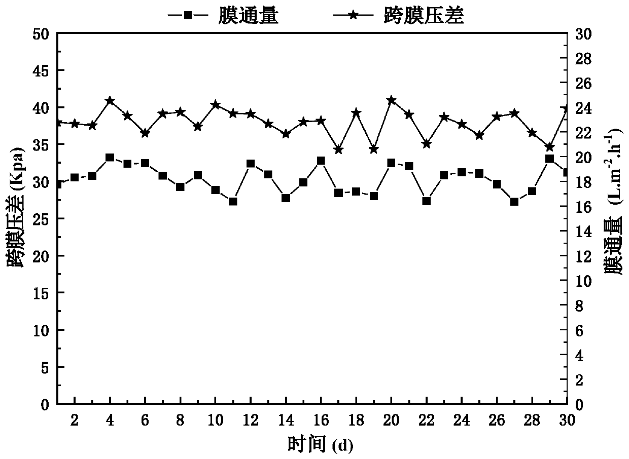 Intensified denitrification MBR (membrane bioreactor) sustainable biological nitrogen removal device and method