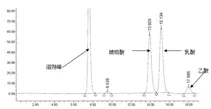 Corynebacterium acetoacidophilum strain and method for producing succinic acid therefrom