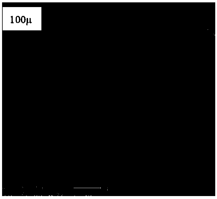 Microcapsule self-repairing anticorrosive coating and preparation method thereof