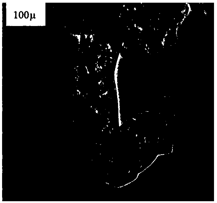 Microcapsule self-repairing anticorrosive coating and preparation method thereof