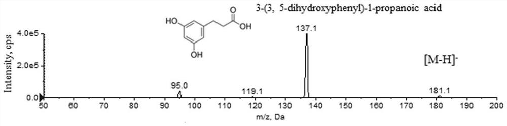 Method for detecting level of metabolite of alkyl resorcinol in plasma through LC-MS/MS