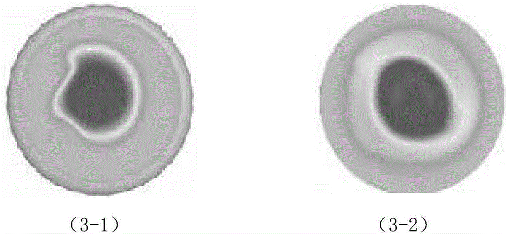 ART flame slice reconstruction algorithm based on radial gradient total variation