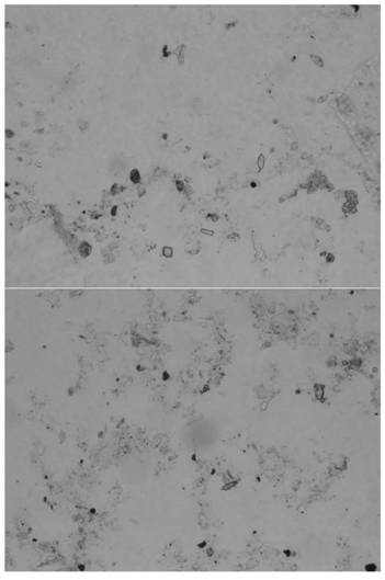 Application of silicon planting body in distinguishing cigarette quality