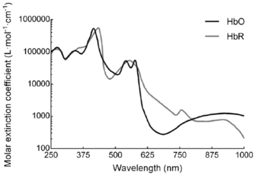 Tissue blood oxygen imaging detection method based on two-stage spatial mapping