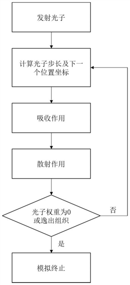 Tissue blood oxygen imaging detection method based on two-stage spatial mapping