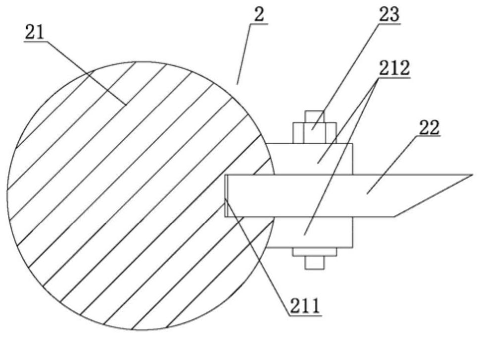 Fixed-length cutting and conveying device for noodle processing