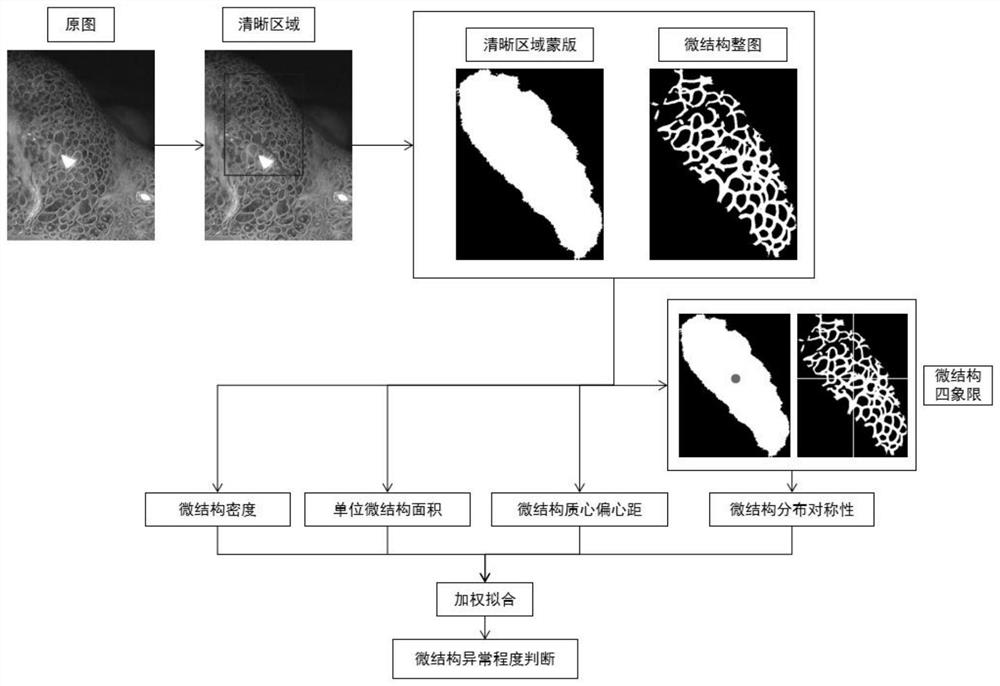 Abnormal degree quantification method of gastric mucosa dyeing magnified image microstructure