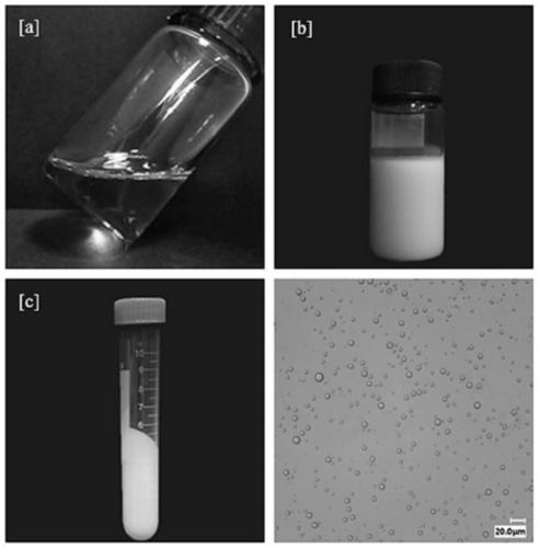 Preparation method for branched silane and polyether alkyl co-modified silicone oil