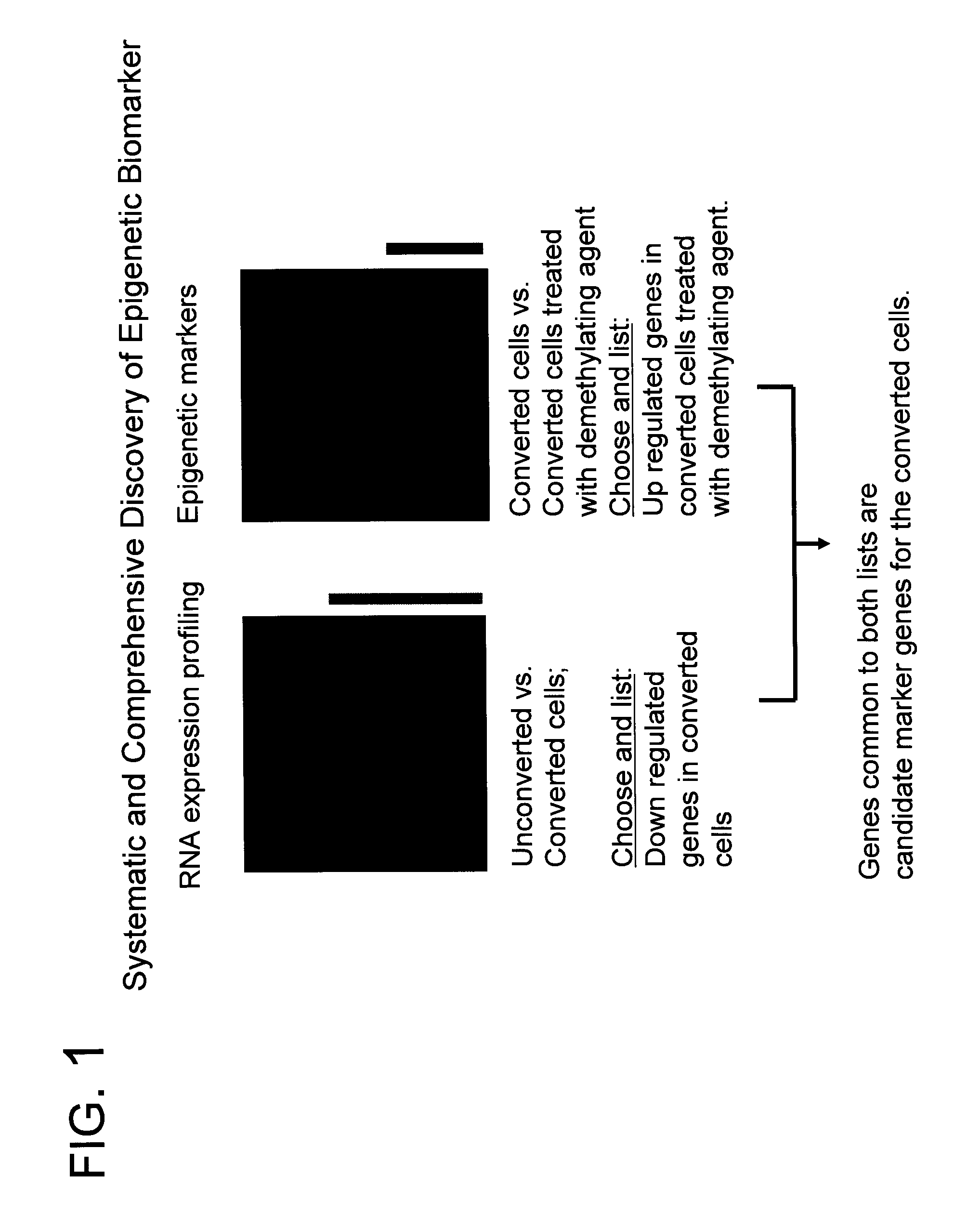 System for biomarker discovery