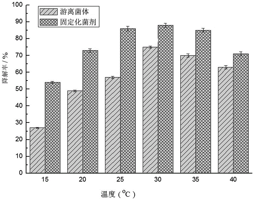 Sodium alginate compound immobilized microbial agent as well as preparation method and application thereof