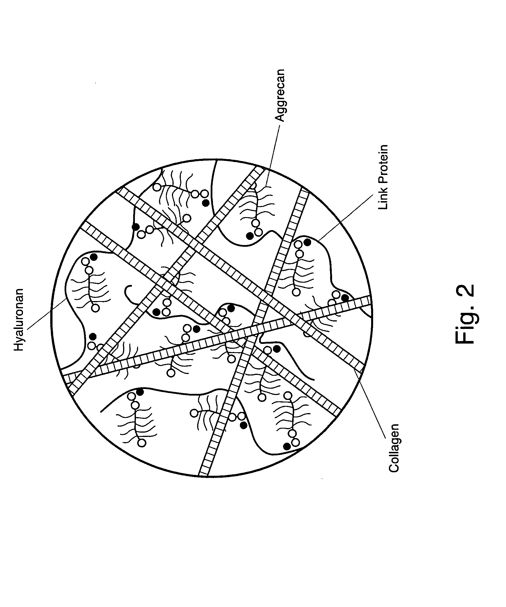 Method for treating cartilage defects