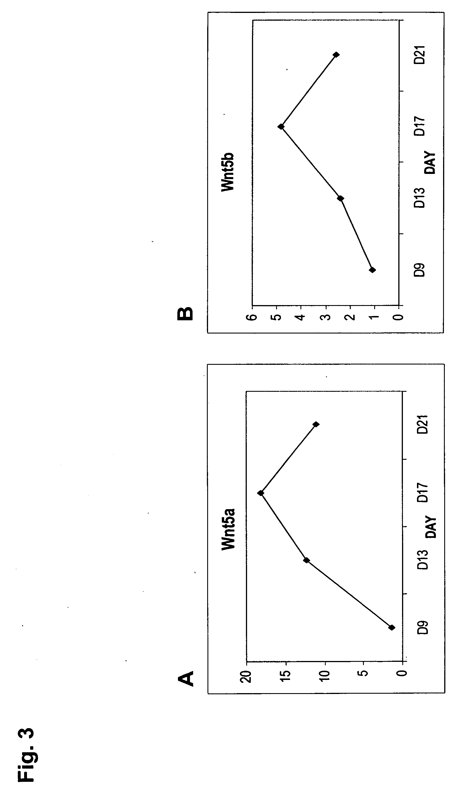 Compositions and methods for the stimulation or enhancement of bone formation and the self-renewal of cells