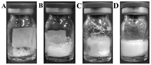 Freeze-dried hemagglutination inhibition test antigen for detecting mycoplasma synoviae, antigen combination and preparation method