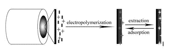 Electro-polymerization preparation method of electrochemical sensor for quickly detecting EGCG (Epigallocatechin-3-Gallate)