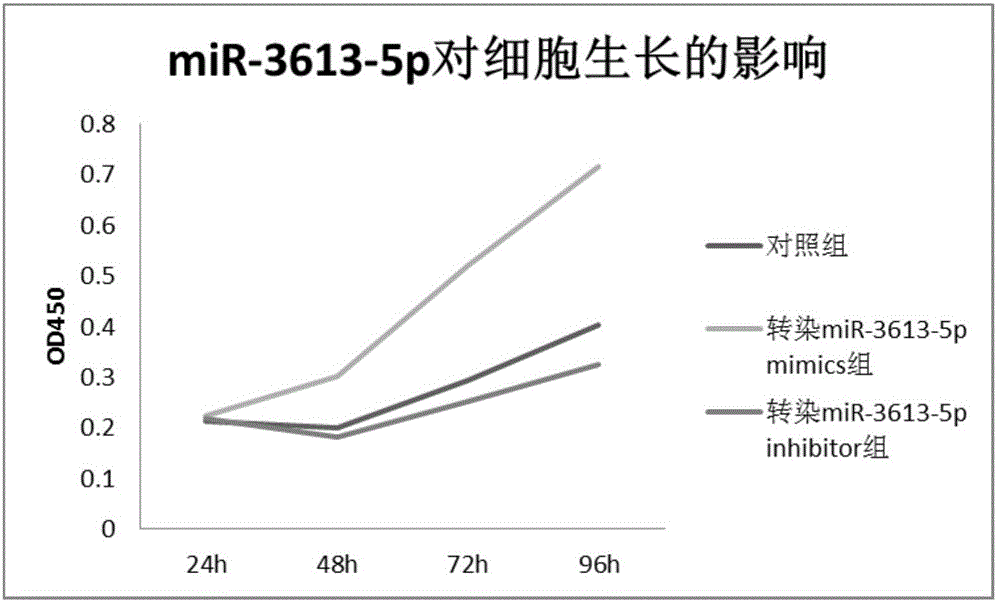 Novel application of mir-3613 and mature miRNA thereof