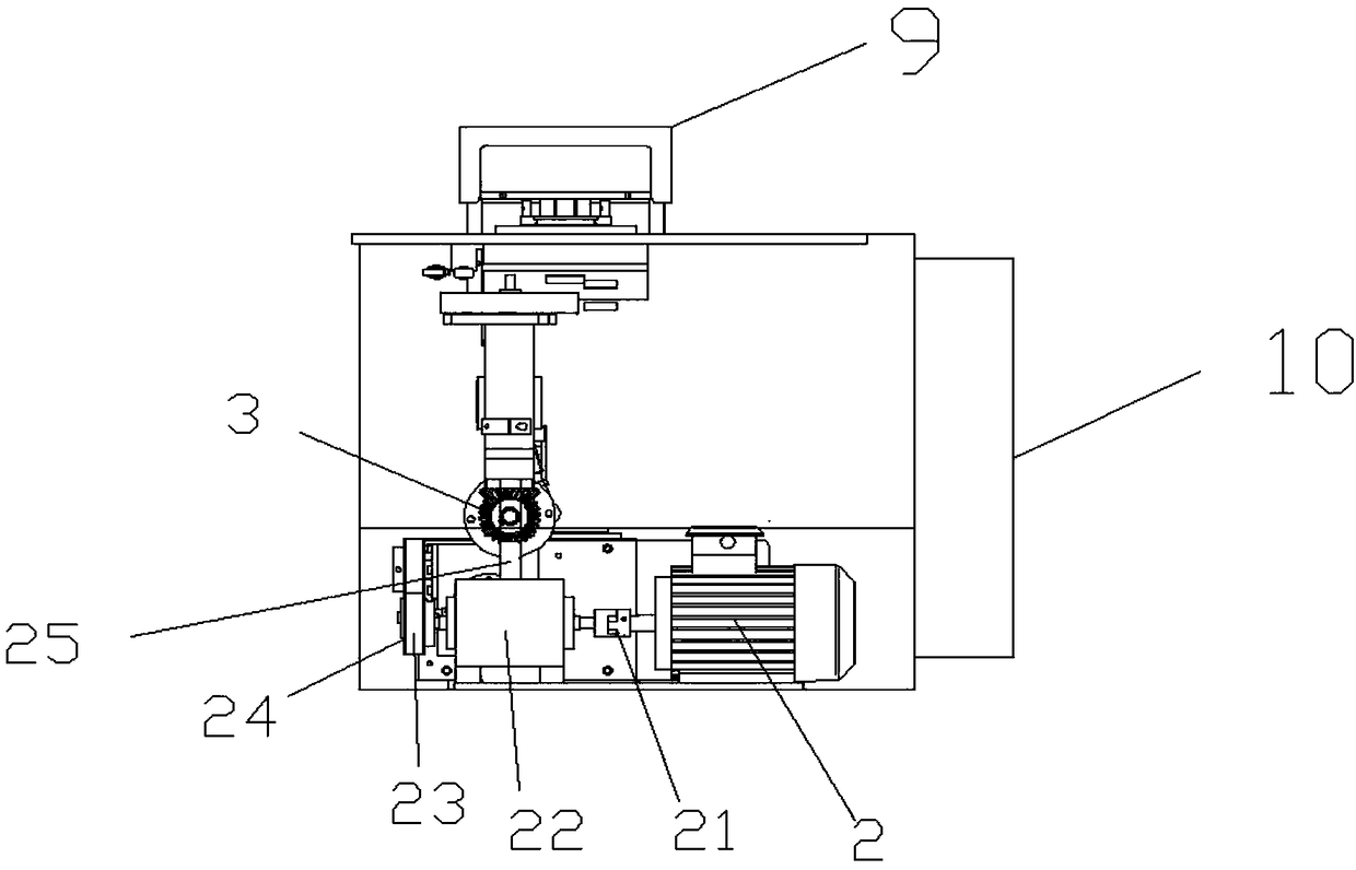 Rotary steamed corn bread processing and molding apparatus