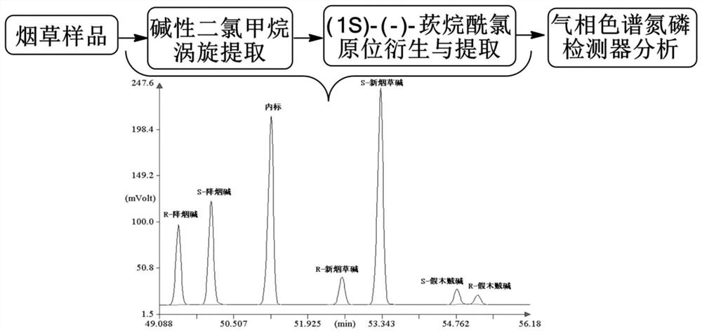 A chiral analysis method for nornicotine, pseudobasine and anatabine in tobacco and tobacco products