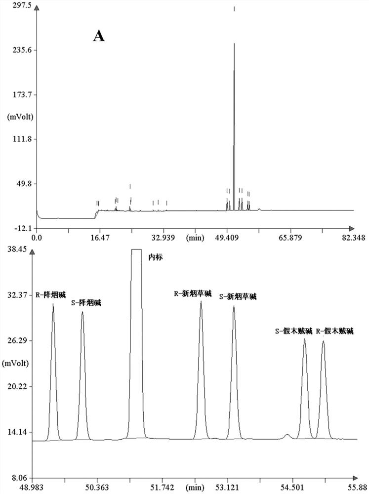 A chiral analysis method for nornicotine, pseudobasine and anatabine in tobacco and tobacco products