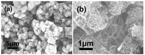 A kind of preparation method of stannous sulfide/nitrogen-doped carbon composite curd and its application in lithium-ion battery negative electrode