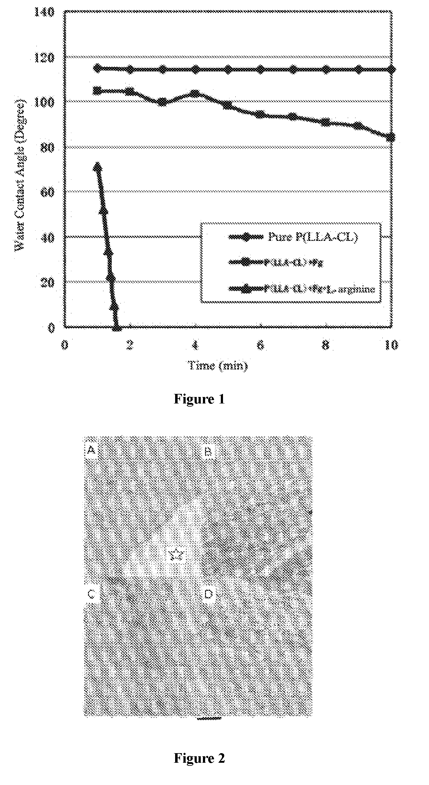 Hydrophilic electrospinning biological composite stent material used for tissue regeneration and preparation method and application thereof