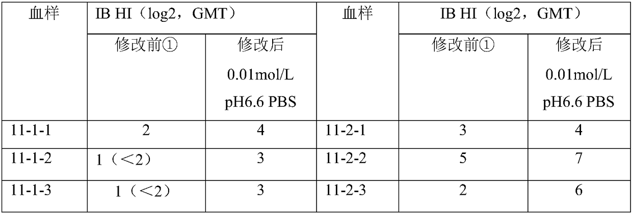 A composition and its application in the determination of chicken infectious bronchitis antibody