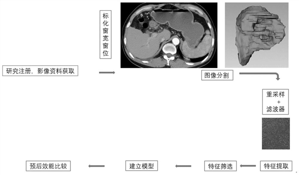 Modeling method and device for long-term prognosis prediction of hepatocellular carcinoma