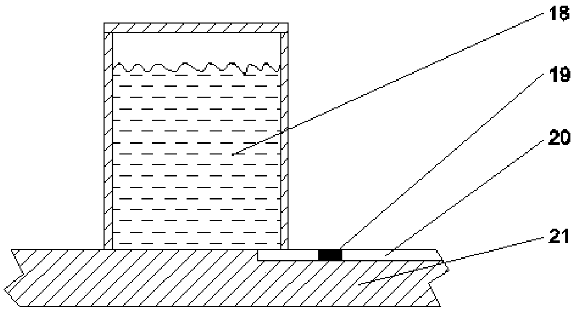 Immunodetection and biochemical detection-based micro-fluidic chip, detector and detection method