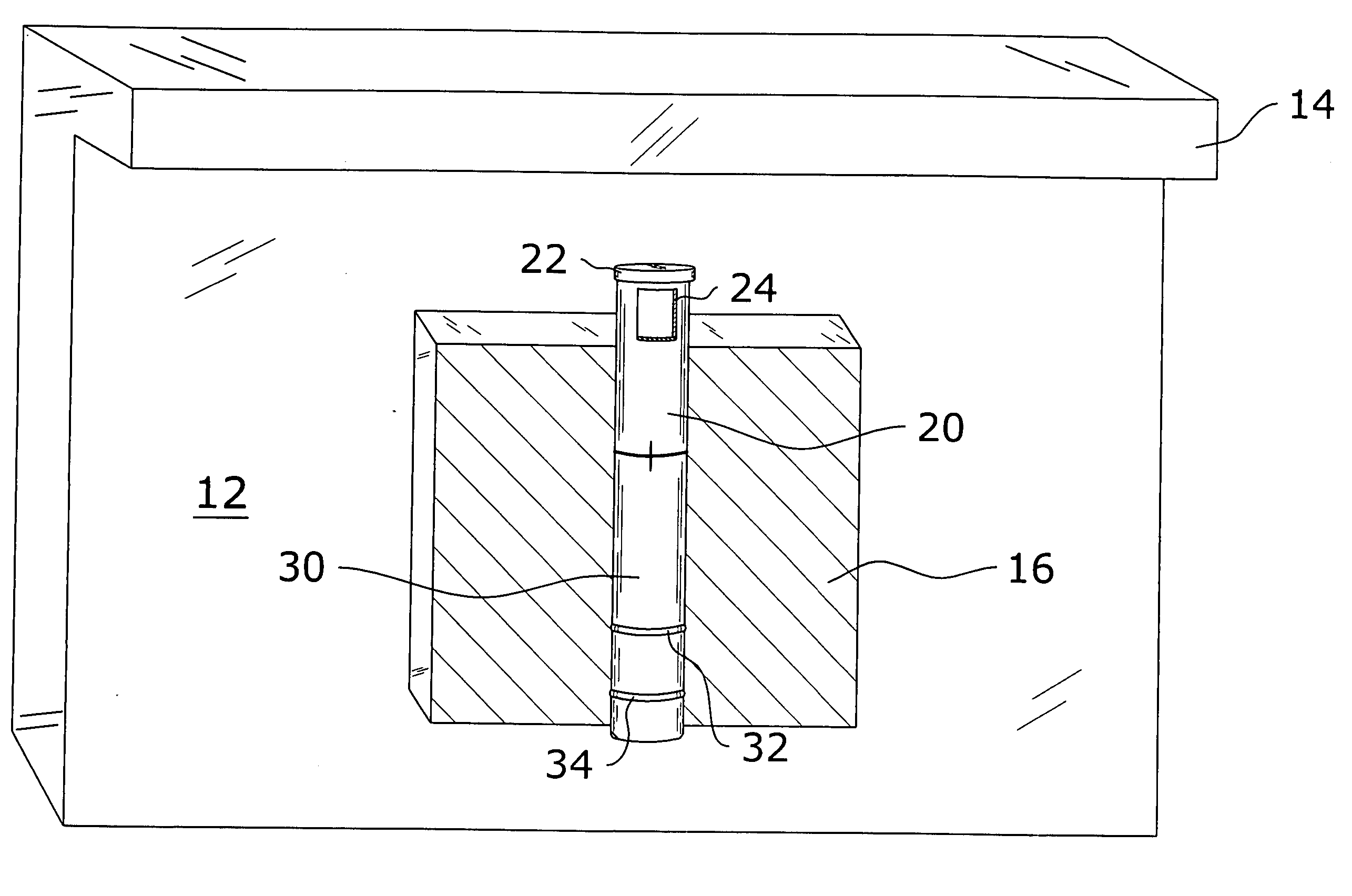 Food dispenser plunger system