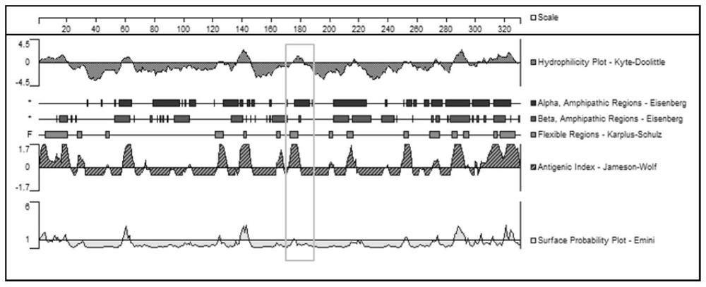 A dominant antigenic epitope polypeptide of an anti-mrgprx2 antibody and its application