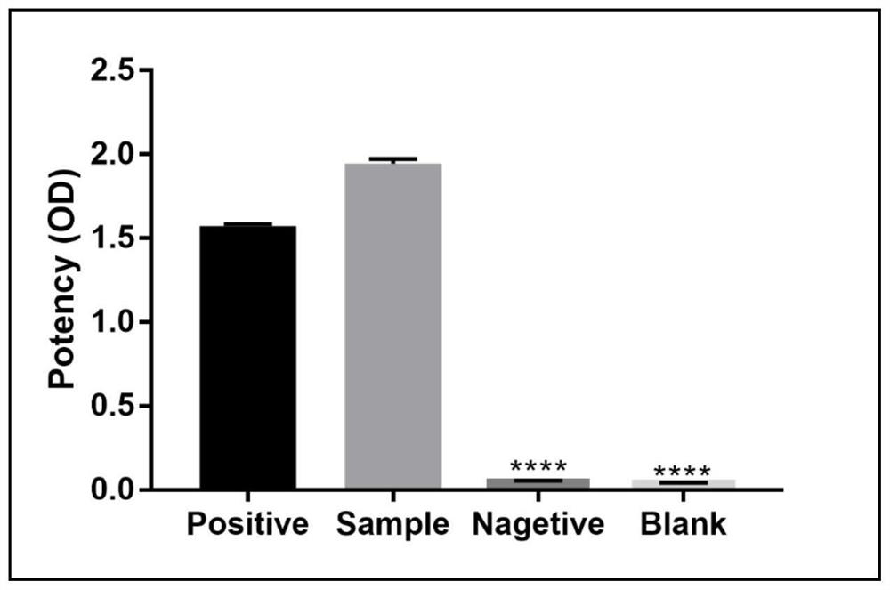 A dominant antigenic epitope polypeptide of an anti-mrgprx2 antibody and its application