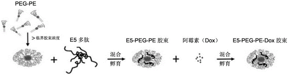 Polypeptide and chemotherapy drug combined drug-loaded micelle and preparation method and application thereof