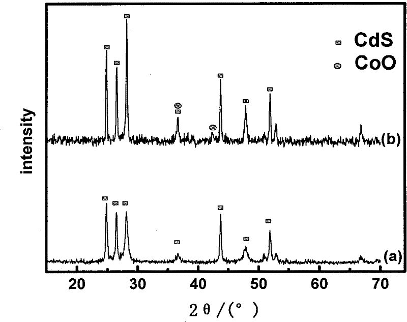 Method for preparing p-CoO/n-CdS compound semiconductor photocatalyst