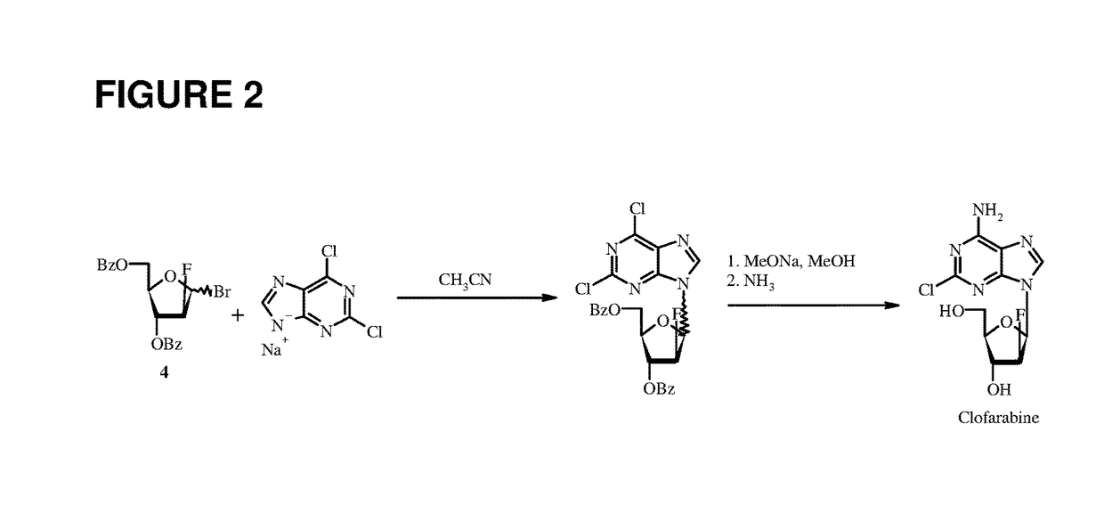 Method for the synthesis of clofarabine
