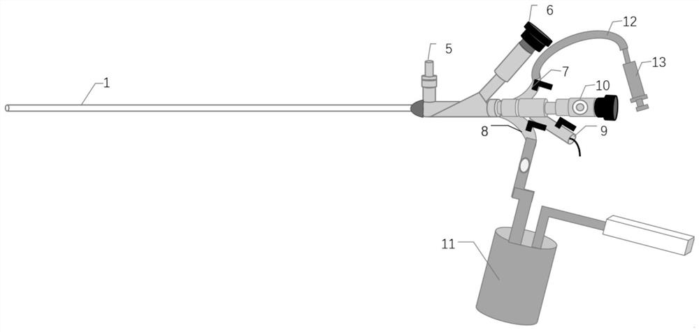 Ureteroscope capable of achieving water circulation