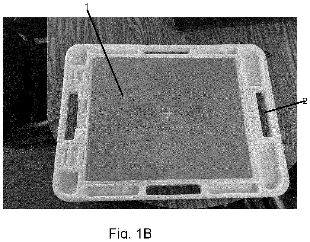 X-Ray Image Detector Holder and Mounting Device and Method for Commercial X-Ray Applications