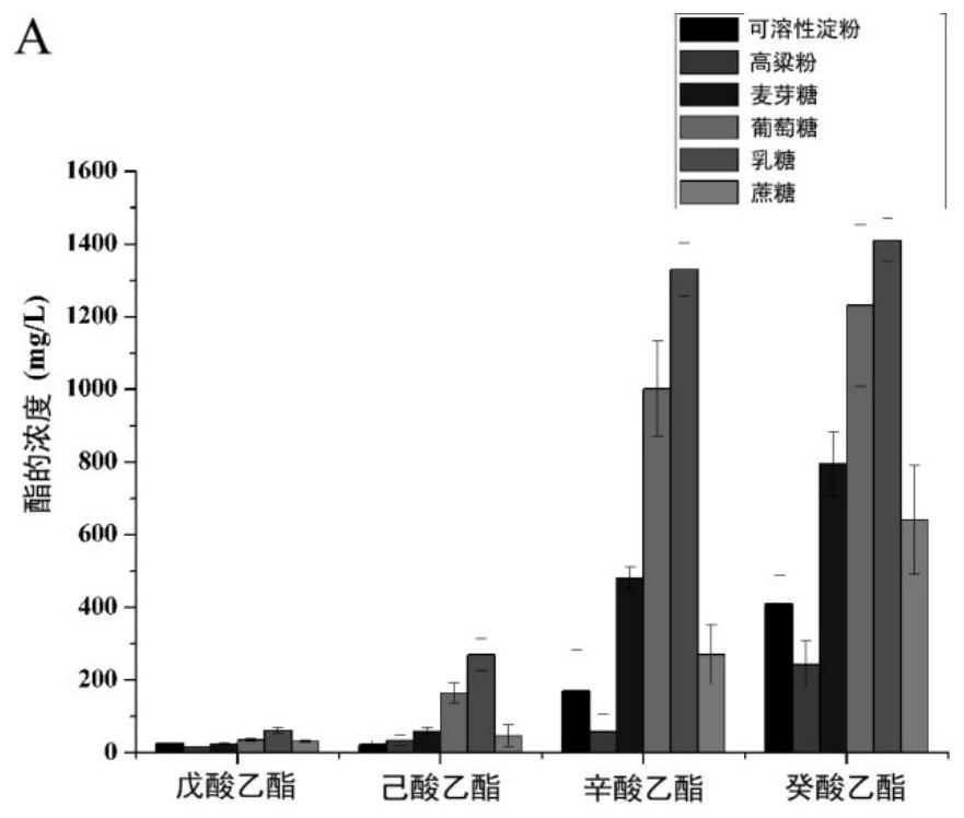 A culture method of Aspergillus niger and its application in catalytic synthesis of liquor flavor ester