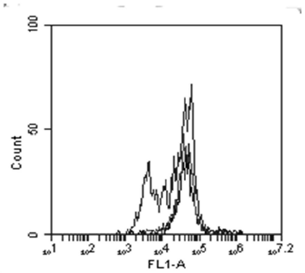 Monoclonal antibody blocking human tim-3 function and its coding gene and application