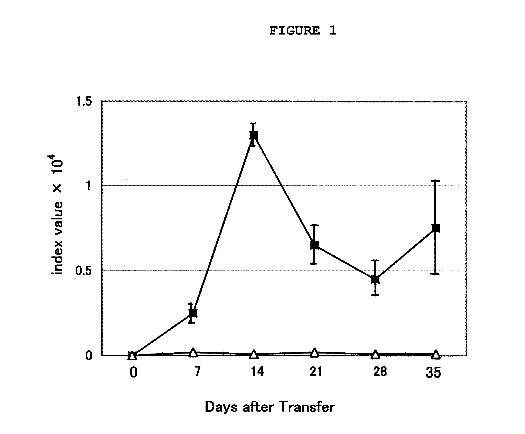 Composition for inhibition of transplant rejection containing the cordyceps mycellia extract as an active ingredient