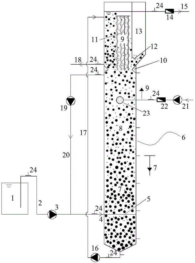 Granule sludge and biological film coupled integrated sewage treatment method and treatment device suitable for same