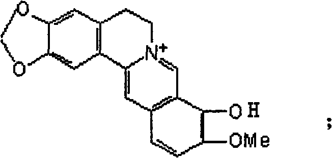 Synthetic method of berberine 13-bit derivant and berberrubine 13-bit derivant