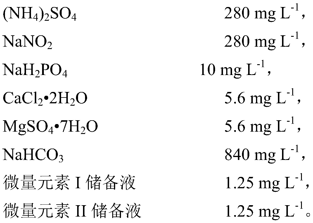 Salt-tolerant anaerobic ammonia oxidation sludge acclimatization method based on inhibition kinetics law