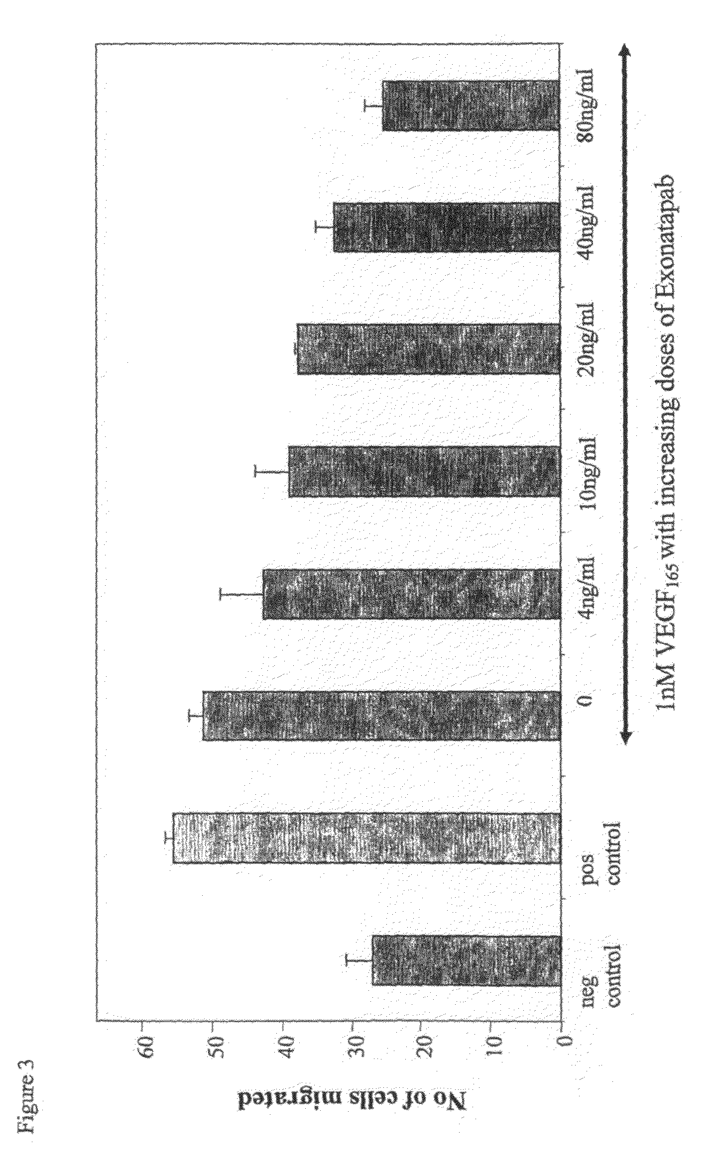 Antibodies specific to pro-angiogenic isoforms of vascular endothelial growth factor (VEGF)