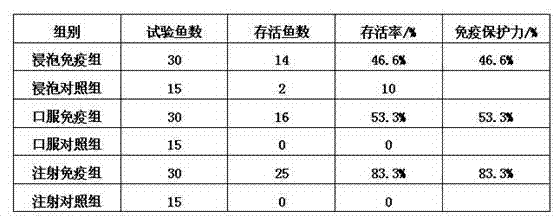 Preparation method and use method of loach aeromonas sobria vaccine