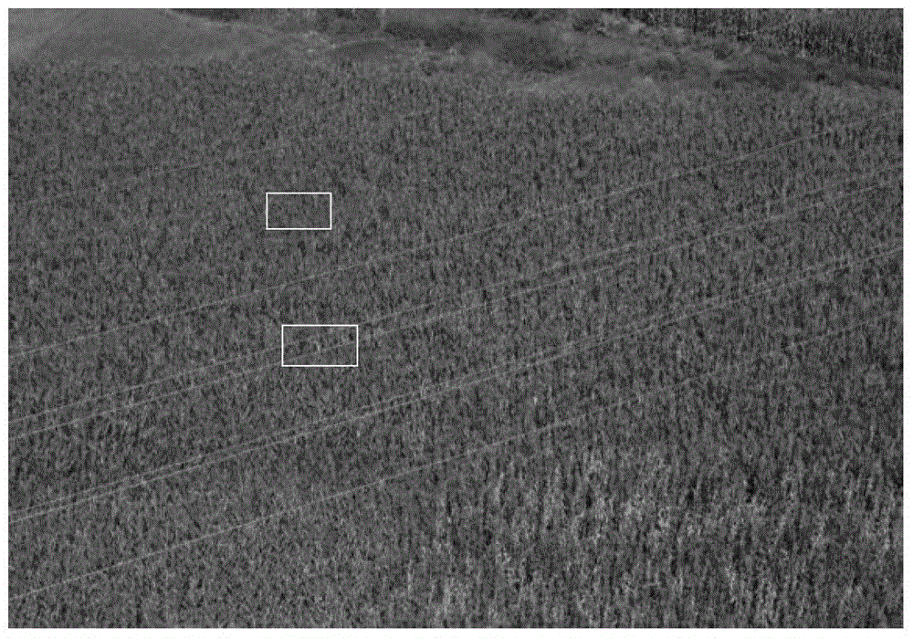 Location method of high voltage transmission tower based on linear target